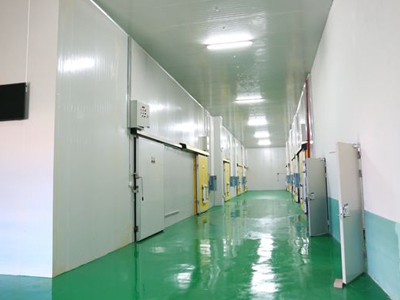 国产精品麻豆视频保養維護技術